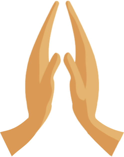 Say Namaste - India's very own video conferencing app